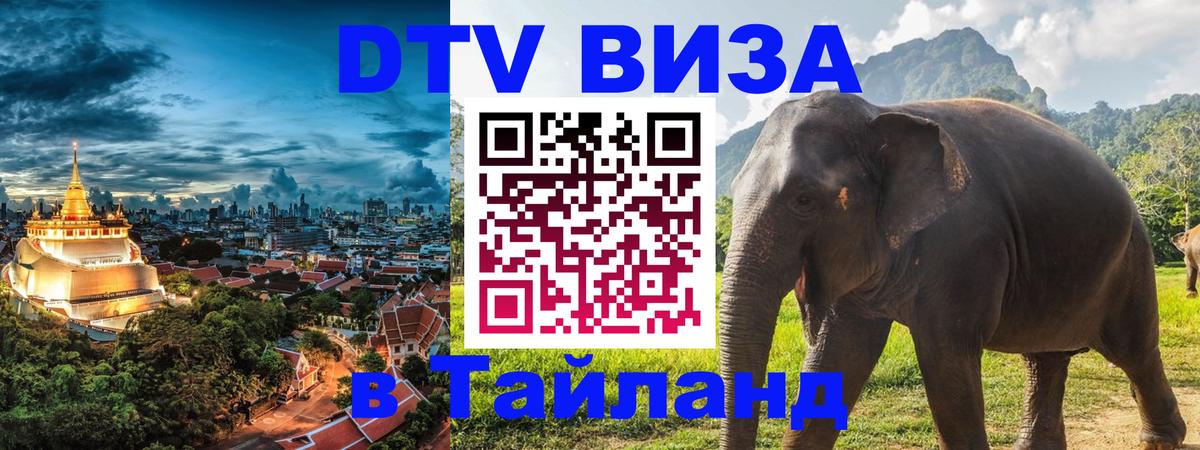 Сколько стоит DTV виза — актуальные цены, оформление даже без документов - Ташкент  18.11.2025 